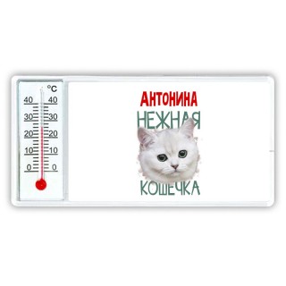 Антонина нежная кошечка