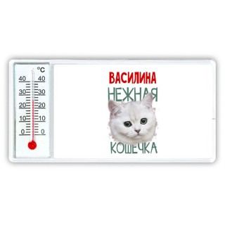 Василина нежная кошечка