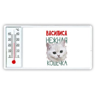 Василиса нежная кошечка