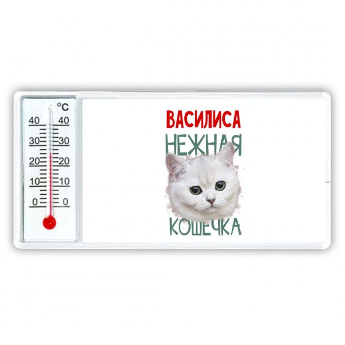 Василиса нежная кошечка