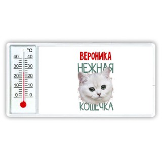 Вероника нежная кошечка