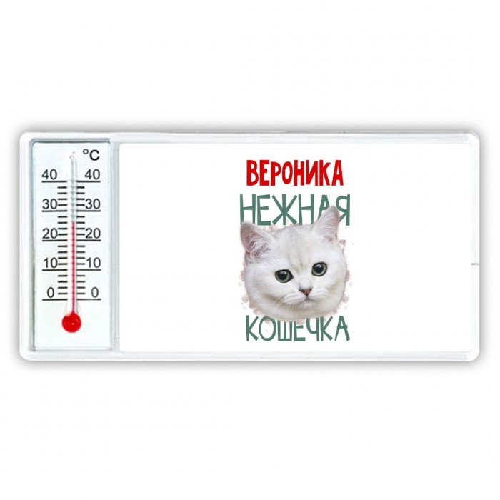 Вероника нежная кошечка