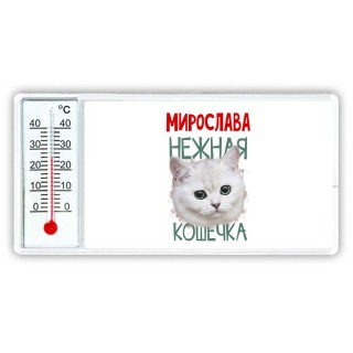 Мирослава нежная кошечка