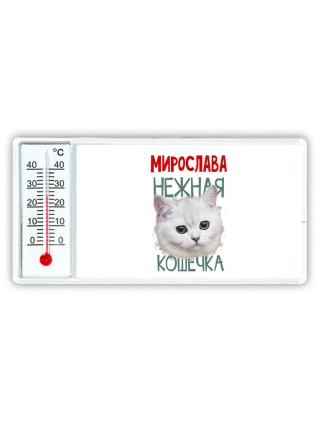 Мирослава нежная кошечка