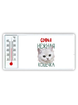 Софья нежная кошечка