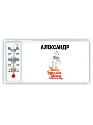 Александр папин бродяга мамин симпатяга