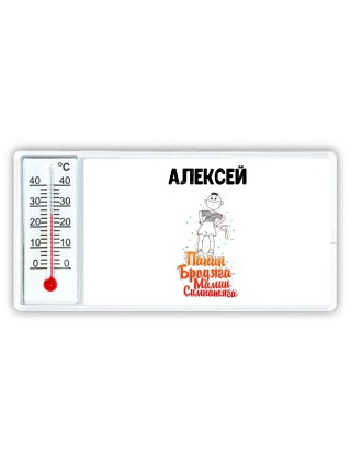Алексей папин бродяга мамин симпатяга