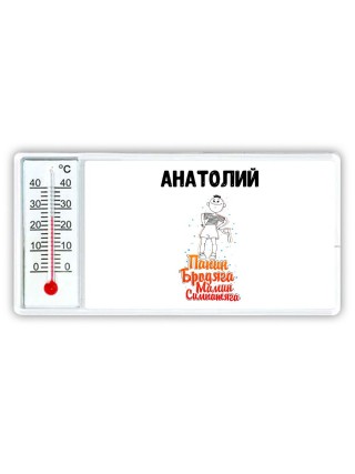 Анатолий папин бродяга мамин симпатяга