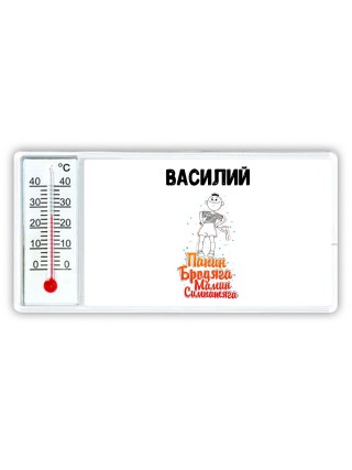 Василий папин бродяга мамин симпатяга