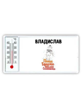 Владислав папин бродяга мамин симпатяга
