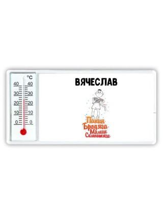 Вячеслав папин бродяга мамин симпатяга