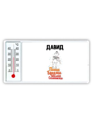 Давид папин бродяга мамин симпатяга