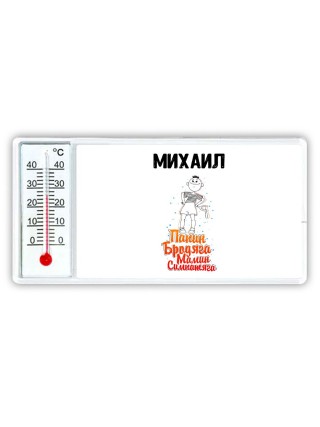 Михаил папин бродяга мамин симпатяга