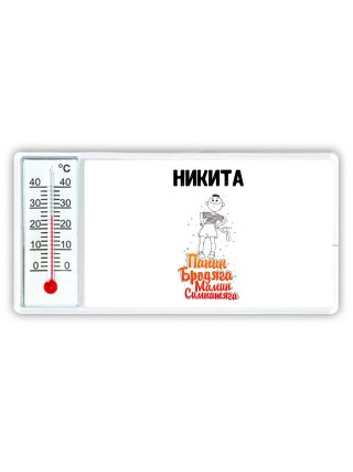 Никита папин бродяга мамин симпатяга