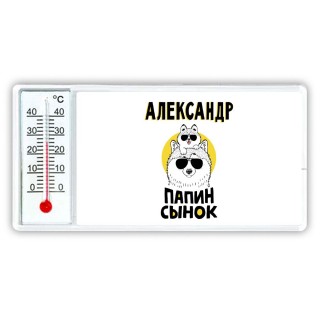 Александр папин сынок