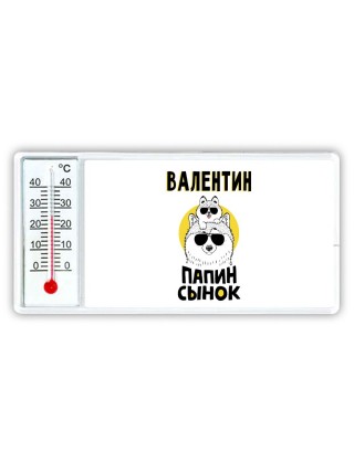 Валентин папин сынок