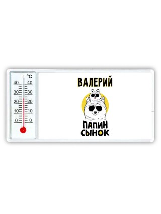 Валерий папин сынок