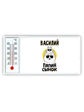 Василий папин сынок