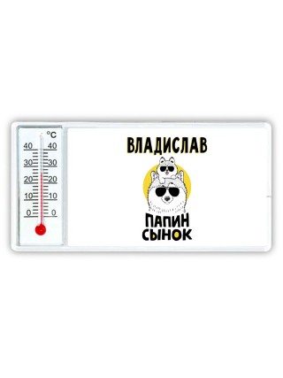 Владислав папин сынок