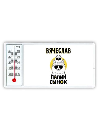 Вячеслав папин сынок