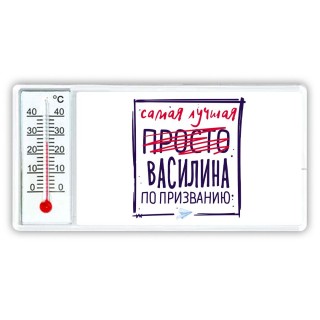 Самая лучшая просто Василина по призванию