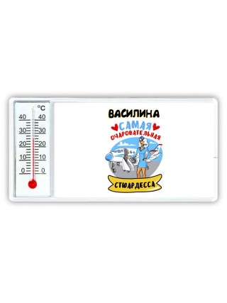 Василина самая очаровательная стюардесса