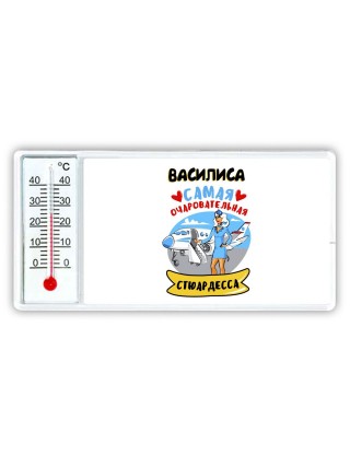 Василиса самая очаровательная стюардесса