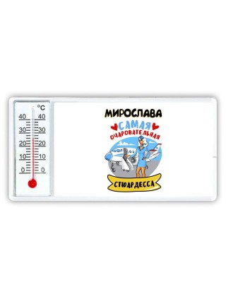 Мирослава самая очаровательная стюардесса