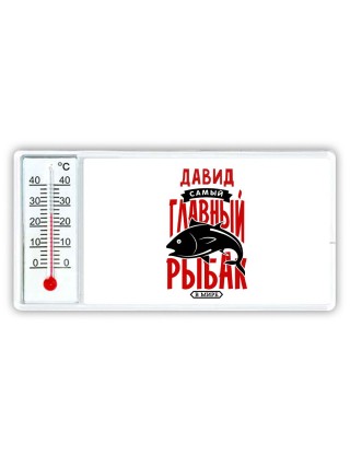 Давид самый главный рыбак в мире