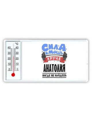 Cила и мощь круче Анатолия нигде не найдёшь