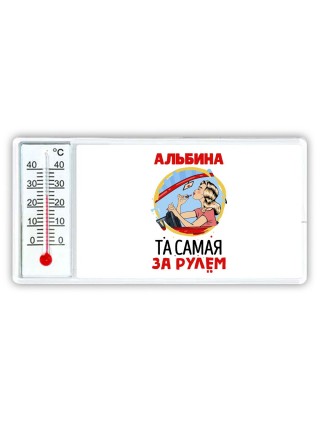 Альбина та самая за рулем
