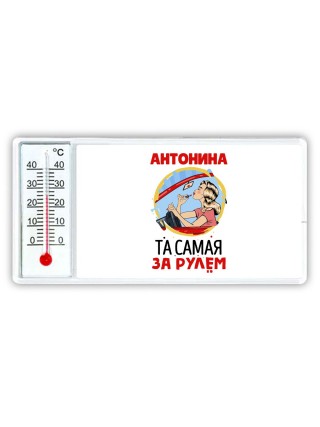 Антонина та самая за рулем