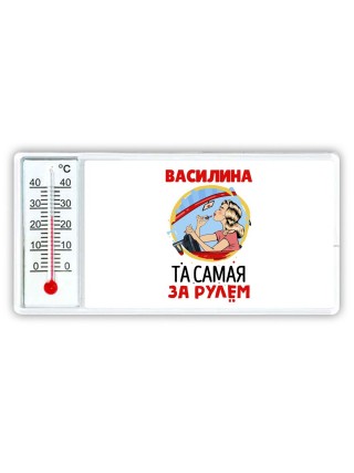 Василина та самая за рулем