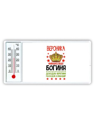 Вероника финансовая богиня доходов берегиня расходов командир