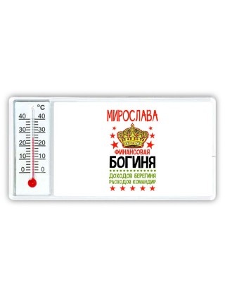 Мирослава финансовая богиня доходов берегиня расходов командир