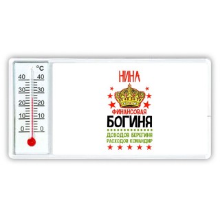 Нина финансовая богиня доходов берегиня расходов командир