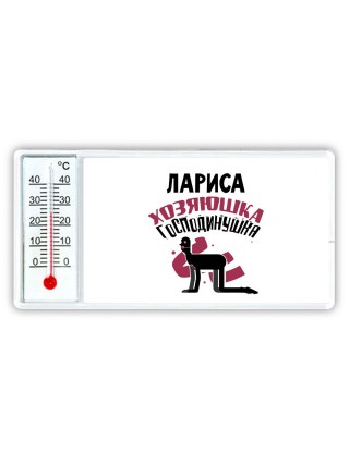 Лариса хозяюшка господинушка