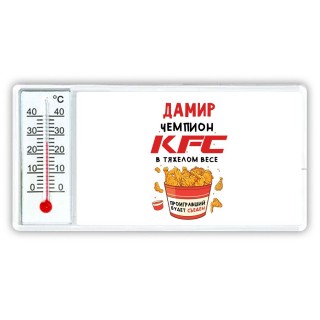 Дамир Чемпион KFC в тяжелом весе