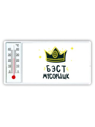 Бэст мусорщик