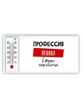 Женские_Профессия ПЕВИЦА в душе пофигистка