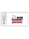 Всем заправляет домушник