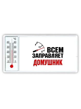 Всем заправляет домушник