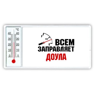 Всем заправляет доула