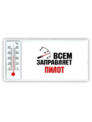 Всем заправляет пилот
