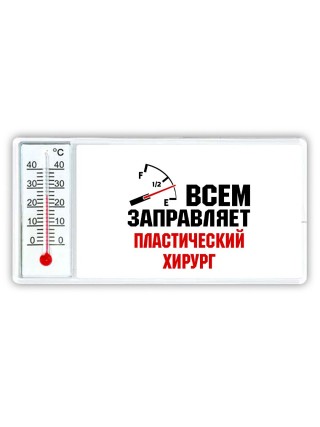 Всем заправляет пластический хирург