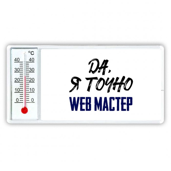 Да, я точно web мастер