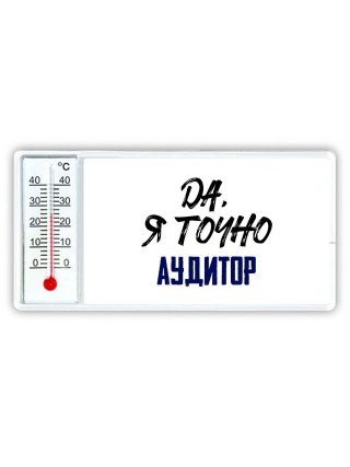 Да, я точно аудитор