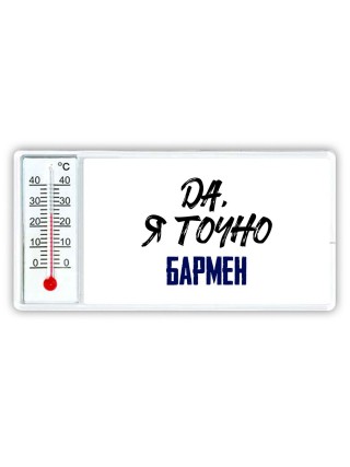 Да, я точно бармен