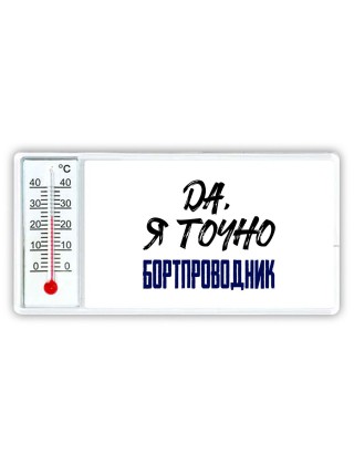 Да, я точно бортпроводник