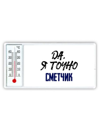Да, я точно сметчик